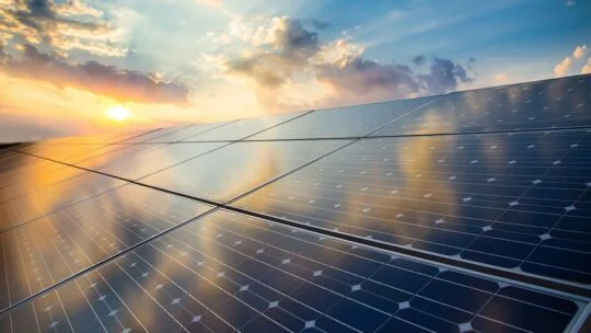 Nuestro mundo: tomar medidas a favor del medio ambiente y la comunidad