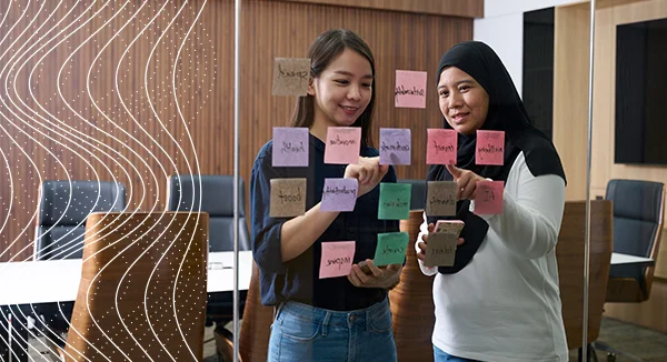 Programa de mentoría en Flex